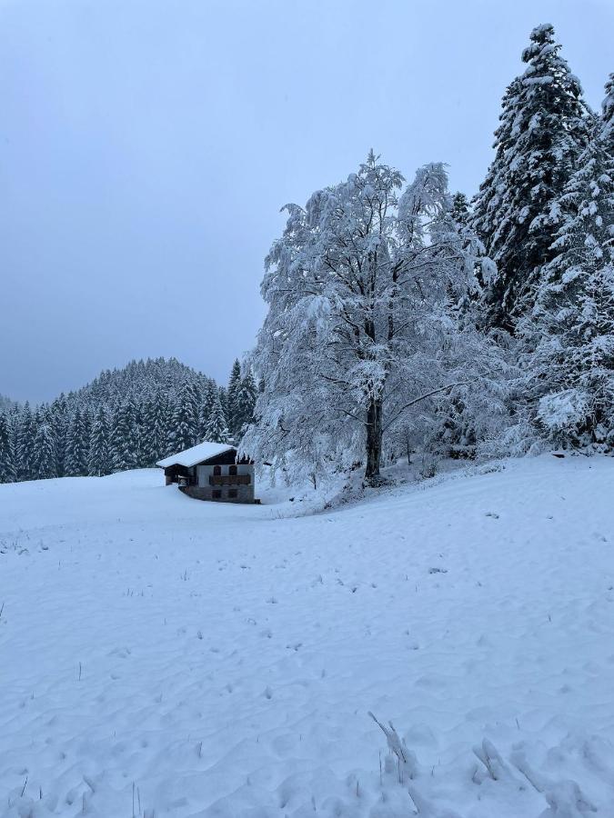 Chalet Relax Molveno E Andalo Dolomiti Villa Bagian luar foto