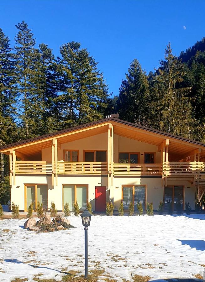 Chalet Relax Molveno E Andalo Dolomiti Villa Bagian luar foto