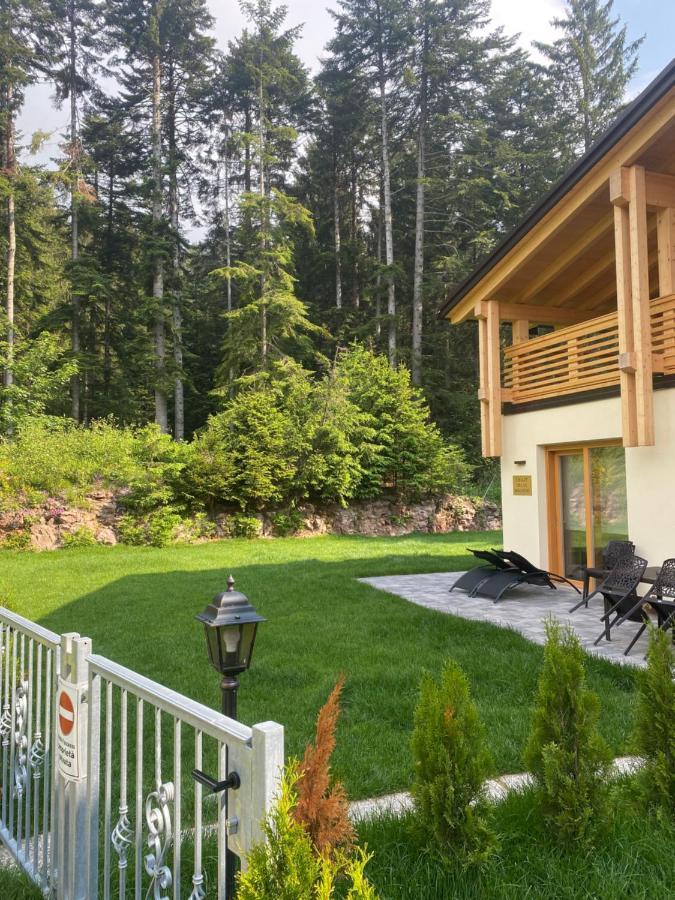Chalet Relax Molveno E Andalo Dolomiti Villa Bagian luar foto
