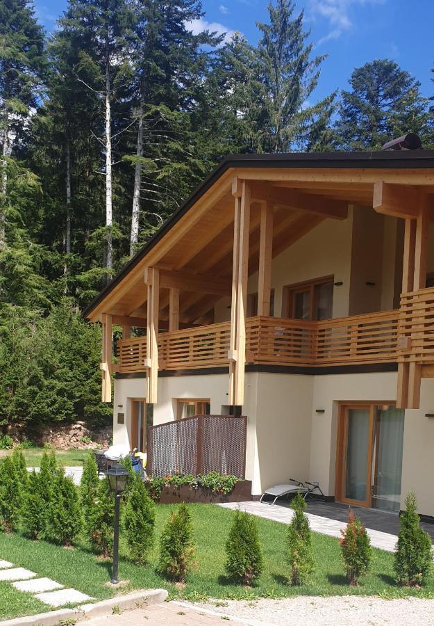 Chalet Relax Molveno E Andalo Dolomiti Villa Bagian luar foto