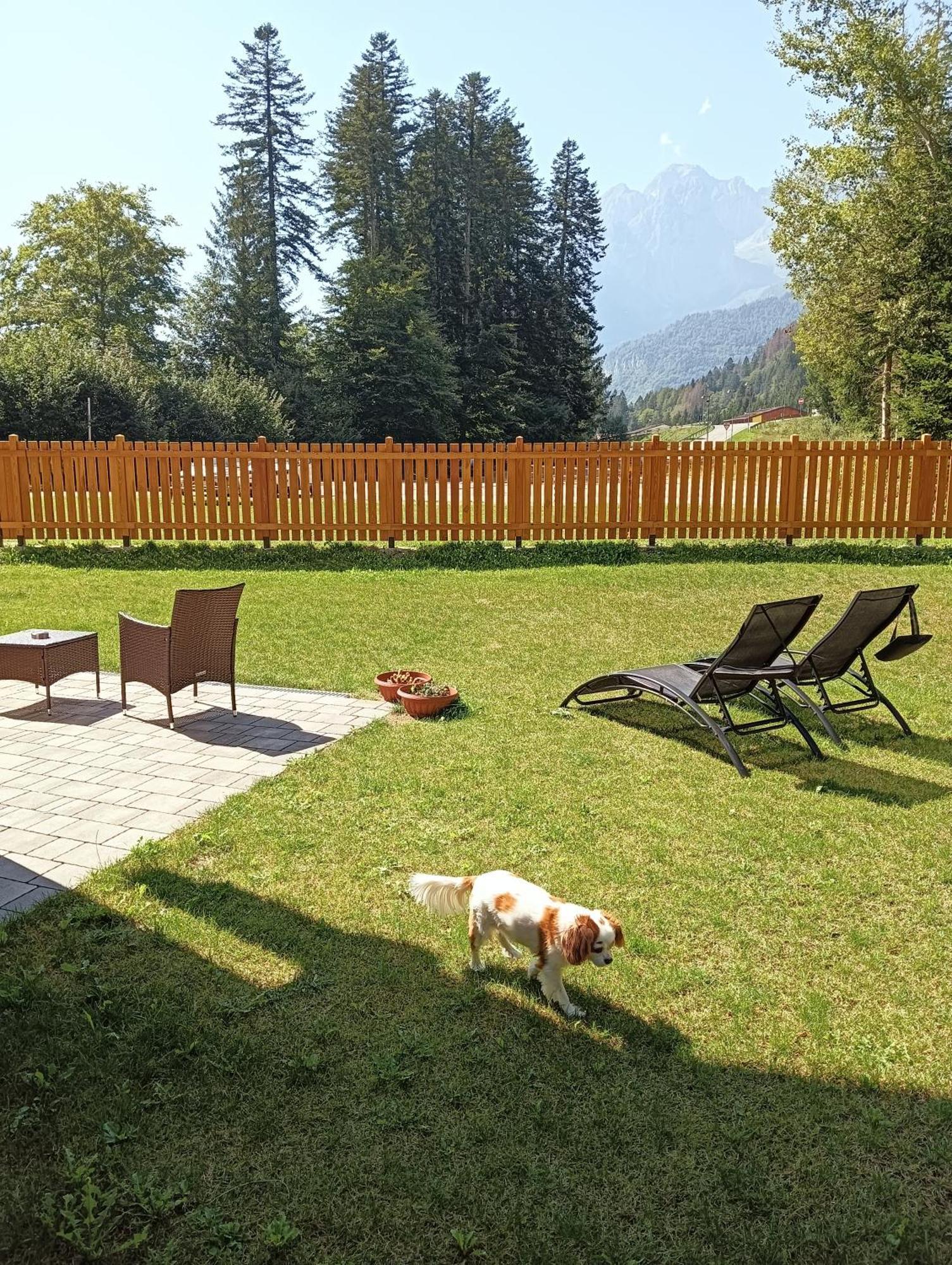 Chalet Relax Molveno E Andalo Dolomiti Villa Bagian luar foto
