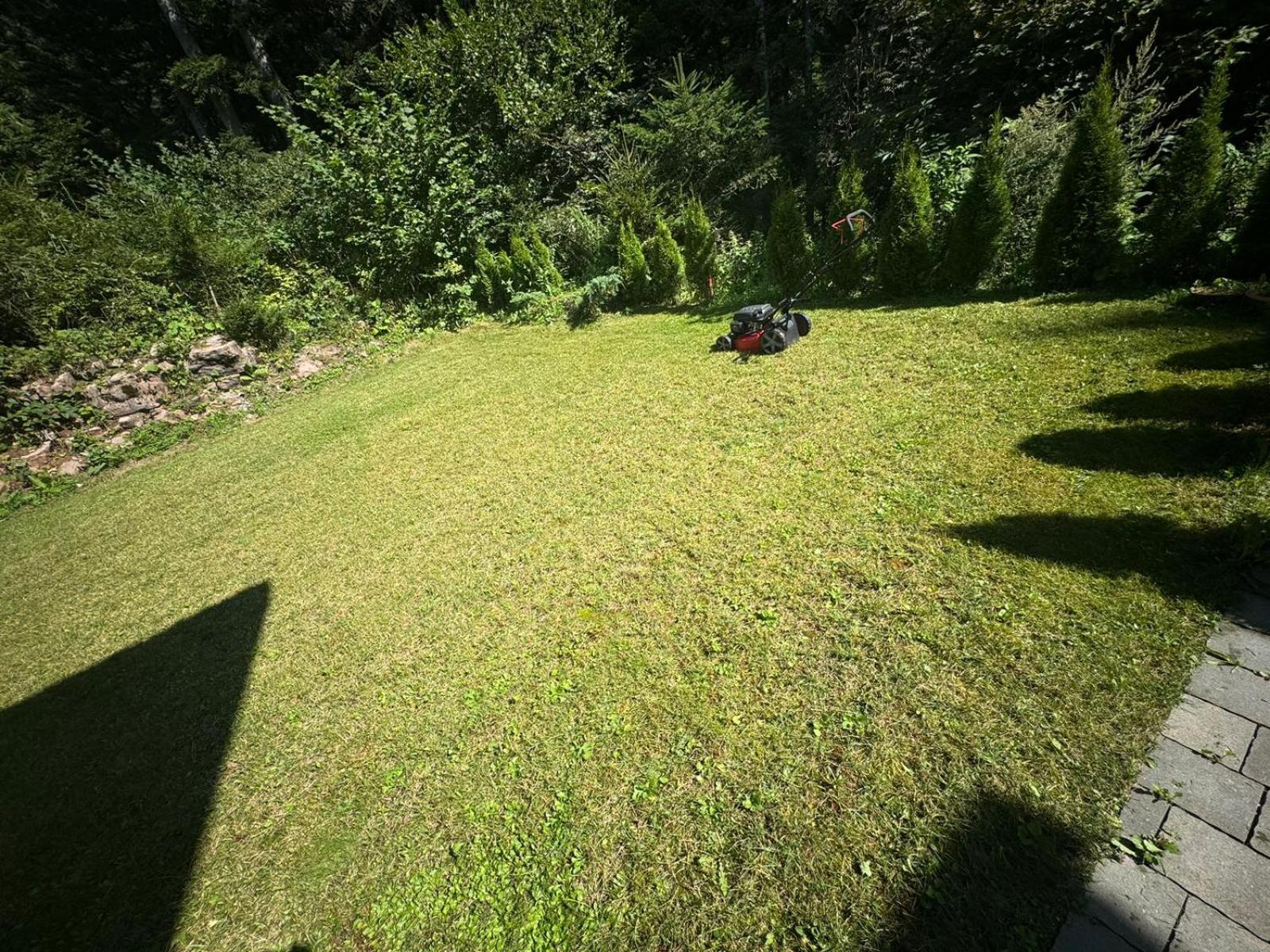 Chalet Relax Molveno E Andalo Dolomiti Villa Bagian luar foto
